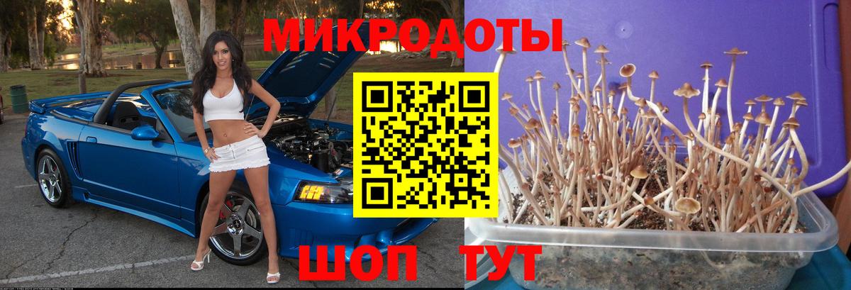 Псилоцибиновые грибы мухоморы Верхняя Пышма