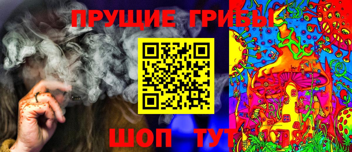 Верхняя Пышма  Псилоцибиновые грибы ЛСД  Галлюциногенные грибы Psilocybe  Вход с VPN 