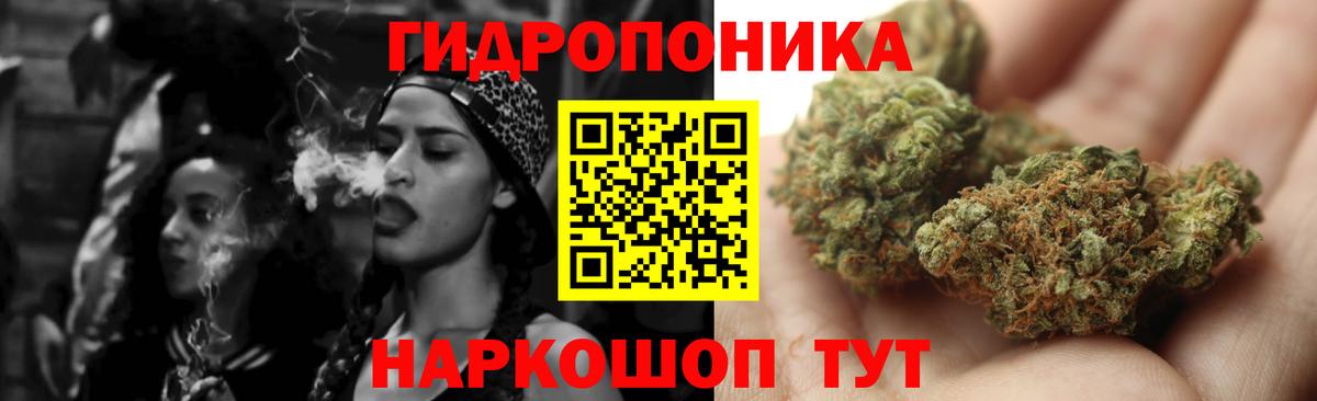 Каннабис Bruce Banner  Марихуана планчик  Каннабис THC 21%  Верхняя Пышма  Вход с VPN 